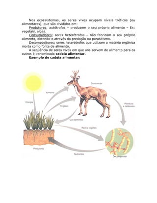 Nos ecossistemas, os seres vivos ocupam níveis tróficos (ou
alimentares), que são divididos em:
Produtores: autótrofos – produzem o seu próprio alimento – Ex:
vegetais, algas.
Consumidores: seres heterótrofos – não fabricam o seu próprio
alimento, obtendo-o através da predação ou parasitismo.
Decompositores: seres heterótrofos que utilizam a matéria orgânica
morta como fonte de alimento.
A seqüência de seres vivos em que uns servem de alimento para os
outros é denominada cadeia alimentar.
Exemplo de cadeia alimentar:
 