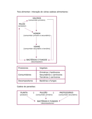 Teia alimentar: interação de várias cadeias alimentares:
Cadeia de parasitas:
GALINHA
(consumidor primário)
MILHO
(produtor)
HOMEM
(consumidor primário e secundário)
VERME
(consumidor secundário e terciário)
BACTÉRIAS E FUNGOS
(decompositor)
Produtores Vegetais
Primários ‡ herbívoros
Consumidores Secundários ‡ carnívoros
Terciários ‡ carnívoros
Decompositores Bactérias e fungos
PLANTA ‡ PULGÃO ‡ PROTOZOÁRIO
(produtor) (consumidor primário) (consumidor secundário)
BACTÉRIAS E FUNGOS
(decompositores)
 