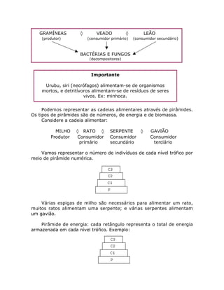 Podemos representar as cadeias alimentares através de pirâmides.
Os tipos de pirâmides são de números, de energia e de biomassa.
Considere a cadeia alimentar:
MILHO ‡ RATO ‡ SERPENTE ‡ GAVIÃO
Produtor Consumidor Consumidor Consumidor
primário secundário terciário
Vamos representar o número de indivíduos de cada nível trófico por
meio de pirâmide numérica.
Várias espigas de milho são necessários para alimentar um rato,
muitos ratos alimentam uma serpente; e várias serpentes alimentam
um gavião.
Pirâmide de energia: cada retângulo representa o total de energia
armazenada em cada nível trófico. Exemplo:
Importante
Urubu, siri (necrófagos) alimentam-se de organismos
mortos, e detritívoros alimentam-se de resíduos de seres
vivos. Ex: minhoca.
GRAMÍNEAS ‡ VEADO ‡ LEÃO
(produtor) (consumidor primário) (consumidor secundário)
BACTÉRIAS E FUNGOS
(decompositores)
 