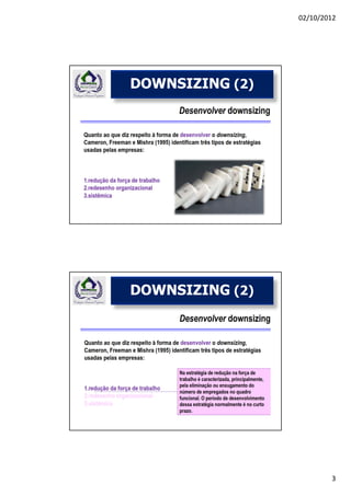 Aula 11 downsizing (2) | PDF