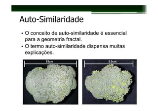 Auto-Similaridade
• O conceito de auto-similaridade é essencial
  para a geometria fractal.
• O termo auto-similaridade dispensa muitas
  explicações.
 