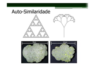 Auto-Similaridade
 