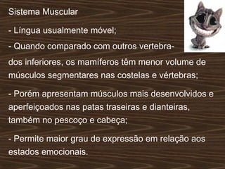 Sistema Muscular
- Língua usualmente móvel;
- Quando comparado com outros vertebra-
dos inferiores, os mamíferos têm menor volume de
músculos segmentares nas costelas e vértebras;
- Porém apresentam músculos mais desenvolvidos e
aperfeiçoados nas patas traseiras e dianteiras,
também no pescoço e cabeça;
- Permite maior grau de expressão em relação aos
estados emocionais.
 