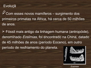 Evoluçã
o
 Com esses novos mamíferos – surgimento dos
primeiros primatas na África, há cerca de 50 milhões
de anos.
 Fóssil mais antigo da linhagem humana (antropóide),
denominado Eosimias, foi encontrado na China, datado
de 45 milhões de anos (período Eoceno), em outro
período de resfriamento do planeta.
Eosimias
 