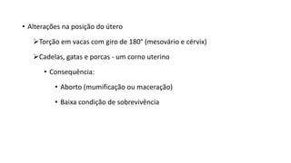 • Alterações na posição do útero
Torção em vacas com giro de 180° (mesovário e cérvix)
Cadelas, gatas e porcas - um corno uterino
• Consequência:
• Aborto (mumificação ou maceração)
• Baixa condição de sobrevivência
 