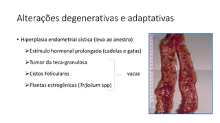 Alterações degenerativas e adaptativas
• Hiperplasia endometrial cística (leva ao anestro)
Estímulo hormonal prolongado (cadelas e gatas)
Tumor da teca-granulosa
Cistos Foliculares vacas
Plantas estrogênicas (Trifolium spp)
 