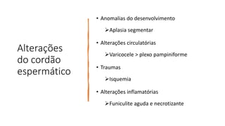 Alterações
do cordão
espermático
• Anomalias do desenvolvimento
Aplasia segmentar
• Alterações circulatórias
Varicocele > plexo pampiniforme
• Traumas
Isquemia
• Alterações inflamatórias
Funiculite aguda e necrotizante
 