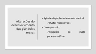 Alterações do
desenvolvimento
das glândulas
anexas
• Aplasia e hipoplasia da vesícula seminal
Ductos mesonéfricos
• Útero prostático
Resquício do ducto
paramesonéfrico
 