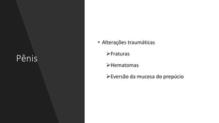 Pênis
• Alterações traumáticas
Fraturas
Hematomas
Eversão da mucosa do prepúcio
 
