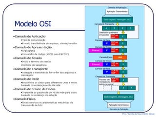 Prof.ª Camila do Nascimento Seixas
 