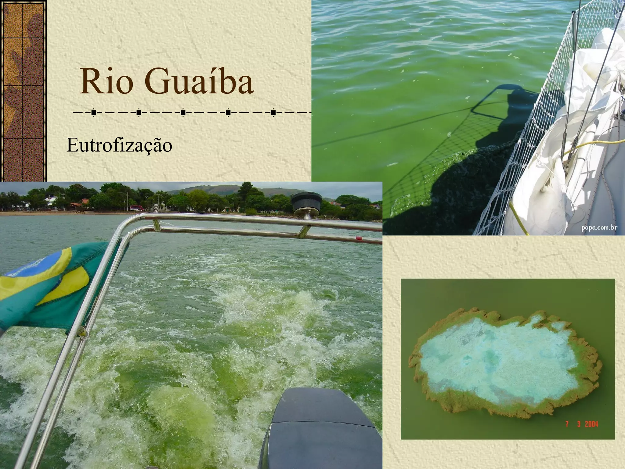 Rio Guaíba
Eutrofização
 