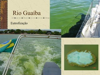 Rio Guaíba
Eutrofização
 