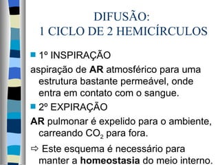 DIFUSÃO:
    1 CICLO DE 2 HEMICÍRCULOS
s 1º INSPIRAÇÃO
aspiração de AR atmosférico para uma
  estrutura bastante permeável, onde
  entra em contato com o sangue.
s 2º EXPIRAÇÃO

AR pulmonar é expelido para o ambiente,
  carreando CO2 para fora.
 Este esquema é necessário para
 manter a homeostasia do meio interno.
 