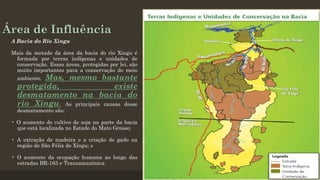 Área de Influência
A Bacia do Rio Xingu
Mais da metade da área da bacia do rio Xingu é
formada por terras indígenas e unidades de
conservação. Essas áreas, protegidas por lei, são
muito importantes para a conservação do meio

Mas, mesmo bastante
protegida,
existe
desmatamento na bacia do
rio Xingu. As principais causas desse
ambiente.

desmatamento são:

• O aumento do cultivo de soja na parte da bacia
que está localizada no Estado do Mato Grosso;
• A extração de madeira e a criação de gado na
região de São Félix do Xingu; e
• O aumento da ocupação humana ao longo das
estradas BR-163 e Transamazônica.

 