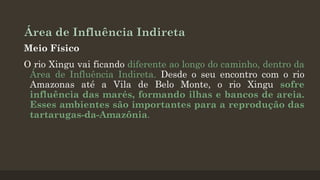 Área de Influência Indireta
Meio Físico

O rio Xingu vai ficando diferente ao longo do caminho, dentro da
Área de Influência Indireta. Desde o seu encontro com o rio
Amazonas até a Vila de Belo Monte, o rio Xingu sofre
influência das marés, formando ilhas e bancos de areia.
Esses ambientes são importantes para a reprodução das
tartarugas-da-Amazônia.

 