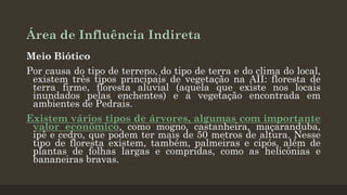 Área de Influência Indireta
Meio Biótico
Por causa do tipo de terreno, do tipo de terra e do clima do local,
existem três tipos principais de vegetação na AII: floresta de
terra firme, floresta aluvial (aquela que existe nos locais
inundados pelas enchentes) e a vegetação encontrada em
ambientes de Pedrais.

Existem vários tipos de árvores, algumas com importante
valor econômico, como mogno, castanheira, maçaranduba,
ipê e cedro, que podem ter mais de 50 metros de altura. Nesse
tipo de floresta existem, também, palmeiras e cipós, além de
plantas de folhas largas e compridas, como as helicônias e
bananeiras bravas.

 