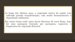 Ao longo dos últimos anos, a vegetação nativa da região vem
sofrendo grande transformação, com muito desmatamento e
degradação ambiental.
Em vários locais onde antes havia florestas de terra firme, hoje
há uma paisagem formada por pastagens, capoeiras e
fragmentos de vegetação florestal.

 