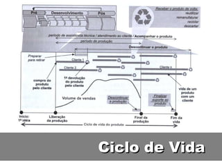 Ciclo de Vida 