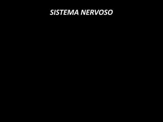 SISTEMA NERVOSO
 