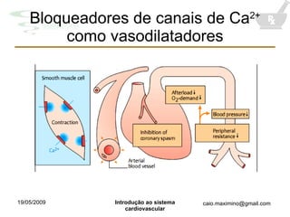 Bloqueadores de canais de Ca 2+  como vasodilatadores 