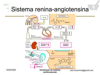 Sistema renina-angiotensina 