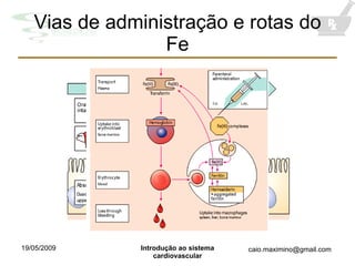 Vias de administração e rotas do Fe 