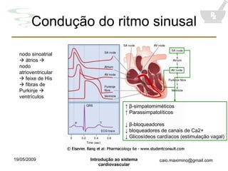 Condução do ritmo sinusal nodo sinoatrial    átrios    nodo atrioventricular    feixe de His    fibras de Purkinje    ventrículos ↑  β -simpatomiméticos ↑  Parassimpatolíticos ↓  β -bloqueadores ↓  bloqueadores de canais de Ca2+ ↓  Glicosídeos cardíacos (estimulação vagal) 