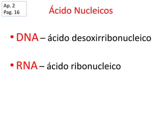 Ácido Nucleicos
• DNA– ácido desoxirribonucleico
• RNA– ácido ribonucleico
Ap. 2
Pag. 16
 