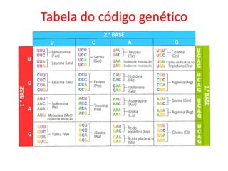 Tabela do código genético
 