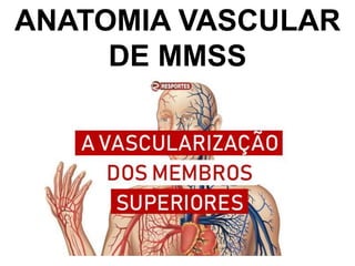 ANATOMIA VASCULAR
DE MMSS
 