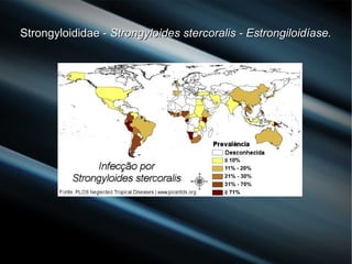 Strongyloididae -Strongyloididae - Strongyloides stercoralis - Estrongiloidíase.Strongyloides stercoralis - Estrongiloidíase.
 