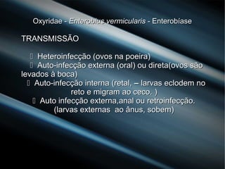 Oxyridae -Oxyridae - Enterobius vermicularisEnterobius vermicularis - Enterobíase- Enterobíase
TRANSMISSÃOTRANSMISSÃO
 Heteroinfecção (ovos na poeira)Heteroinfecção (ovos na poeira)
 Auto-infecção externa (oral) ou direta(ovos sãoAuto-infecção externa (oral) ou direta(ovos são
levados à boca)levados à boca)
 Auto-infecção interna (retal,Auto-infecção interna (retal, –– larvas eclodem nolarvas eclodem no
reto e migram ao ceco.reto e migram ao ceco. ))
 Auto infecção externa,anal ou retroinfecção.Auto infecção externa,anal ou retroinfecção.
(larvas externas ao ânus, sobem)(larvas externas ao ânus, sobem)
 