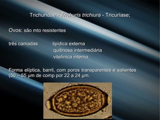 Trichuridae -Trichuridae - Trichuris trichiuraTrichuris trichiura - Tricuríase;- Tricuríase;
Ovos:Ovos: são mto resistentessão mto resistentes
três camadas lipídica externatrês camadas lipídica externa
quitinosa intermediáriaquitinosa intermediária
vitelínica interna.vitelínica interna.
Forma elíptica, barril, com poros transparentes e salientesForma elíptica, barril, com poros transparentes e salientes
(50 – 55 µm de comp por 22 a 24 µm.(50 – 55 µm de comp por 22 a 24 µm.
 