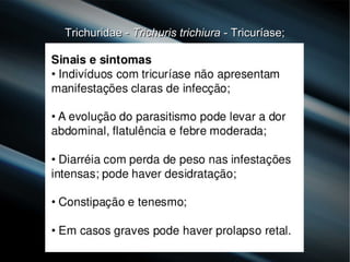 Trichuridae -Trichuridae - Trichuris trichiuraTrichuris trichiura - Tricuríase;- Tricuríase;
 