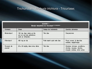 Trichuridae -Trichuridae - Trichuris trichiuraTrichuris trichiura - Tricuríase;- Tricuríase;
 
