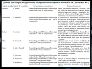Strongyloididae - Strongyloides stercoralis - Estrongiloidíase.Strongyloididae - Strongyloides stercoralis - Estrongiloidíase.
 
