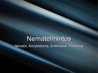 NematelmintosNematelmintos
Necator, Ancylostoma, Enterobius, TrichurusNecator, Ancylostoma, Enterobius, Trichurus
 