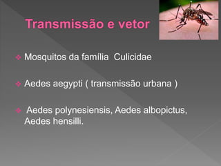  Mosquitos da família Culicidae
 Aedes aegypti ( transmissão urbana )
 Aedes polynesiensis, Aedes albopictus,
Aedes hensilli.
 
