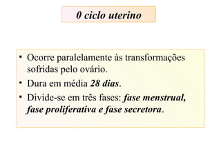 0 ciclo uterino
• Ocorre paralelamente às transformações
sofridas pelo ovário.
• Dura em média 28 dias.
• Divide-se em três fases: fase menstrual,
fase proliferativa e fase secretora.
 