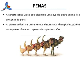 PENAS
• A característica única que distingue uma ave de outro animal é a
presença de penas;
• As penas estiveram presente nos dinossauros therapodas, porém
essas penas não eram capazes de suportar o vôo;
 