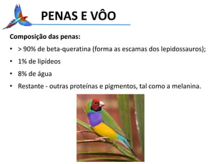 PENAS E VÔO
Composição das penas:
• > 90% de beta-queratina (forma as escamas dos lepidossauros);
• 1% de lipídeos
• 8% de água
• Restante - outras proteínas e pigmentos, tal como a melanina.
 