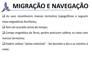 MIGRAÇÃO E NAVEGAÇÃO
 As aves reconhecem marcos terrestres topográficos e seguem
rotas migratórias familiares;
 Tem um acurado senso de tempo;
 Campo magnético da Terra, porém precisam calibrar as rotas com
marcos terrestres;
 Podem utilizar “pistas celestiais” - Sol durante o dia e as estrelas à
noite;
 