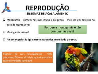 REPRODUÇÃO
 Monogamia – comum nas aves (90%) x poligamia – mais de um parceiro no
período reprodutivo;
 Monogamia sazonal;
 Ambos os pais são igualmente adaptados ao cuidado parental;
SISTEMAS DE ACASALAMENTO
Por que a monogamia é tão
comum nas aves?
Espécies de aves monogâmicas - 93%
produzem filhotes altriciais (que demandam
extenso cuidado parental)
 