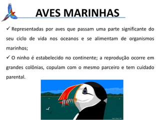AVES MARINHAS
 Representadas por aves que passam uma parte significante do
seu ciclo de vida nos oceanos e se alimentam de organismos
marinhos;
 O ninho é estabelecido no continente; a reprodução ocorre em
grandes colônias, copulam com o mesmo parceiro e tem cuidado
parental.
 