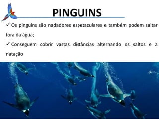 PINGUINS
 Os pinguins são nadadores espetaculares e também podem saltar
fora da água;
 Conseguem cobrir vastas distâncias alternando os saltos e a
natação
 