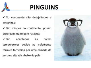PINGUINS
 No continente são desajeitados e
estranhos;
 São míopes no continente, porém
enxergam muito bem na água;
 São adaptados às baixas
temperaturas devido ao isolamento
térmico fornecido por uma camada de
gordura situada abaixo da pele.
 