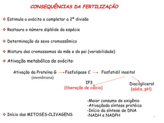 7"
CONSEQUÊNCIAS DA FERTILIZAÇÃO
" Estimula o ovócito a completar a 2ª divisão
" Restaura o número diplóide da espécie
" Mistura dos cromossomos da mãe e do pai (variabilidade)
" Ativação metabólica do ovócito:
" Determinação do sexo cromossômico
Ativação da Proteína G Fosfolipase C Fosfatidil inositol
" Início das MITOSES-CLIVAGENS
IP3 Diacilglicerol
(liberação de cálcio) (sódio, pH)
-Maior consumo de oxigênio
-Ativaçãoda síntese protéica
-Início da síntese de DNA
-NADH e NADPH
(membrana)
 