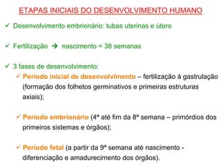 ETAPAS INICIAIS DO DESENVOLVIMENTO HUMANO
ü Desenvolvimento embrionário: tubas uterinas e útero
ü Fertilização Ú nascimento = 38 semanas
ü 3 fases de desenvolvimento:
ü Período inicial de desenvolvimento – fertilização à gastrulação
(formação dos folhetos germinativos e primeiras estruturas
axiais);
ü Período embrionário (4ª até fim da 8ª semana – primórdios dos
primeiros sistemas e órgãos);
ü Período fetal (a partir da 9ª semana até nascimento -
diferenciação e amadurecimento dos órgãos).
 