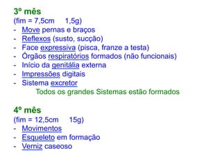 3º mês
(fim = 7,5cm 1,5g)
- Move pernas e braços
- Reflexos (susto, sucção)
- Face expressiva (pisca, franze a testa)
- Órgãos respiratórios formados (não funcionais)
- Início da genitália externa
- Impressões digitais
- Sistema excretor
Todos os grandes Sistemas estão formados
4º mês
(fim = 12,5cm 15g)
- Movimentos
- Esqueleto em formação
- Verniz caseoso
 