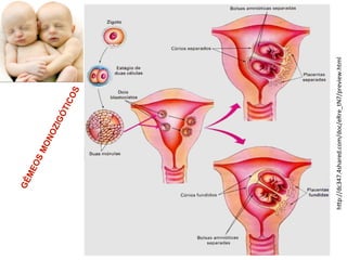 h%p://dc347.4shared.com/doc/eRre_tN7/preview.html"
 